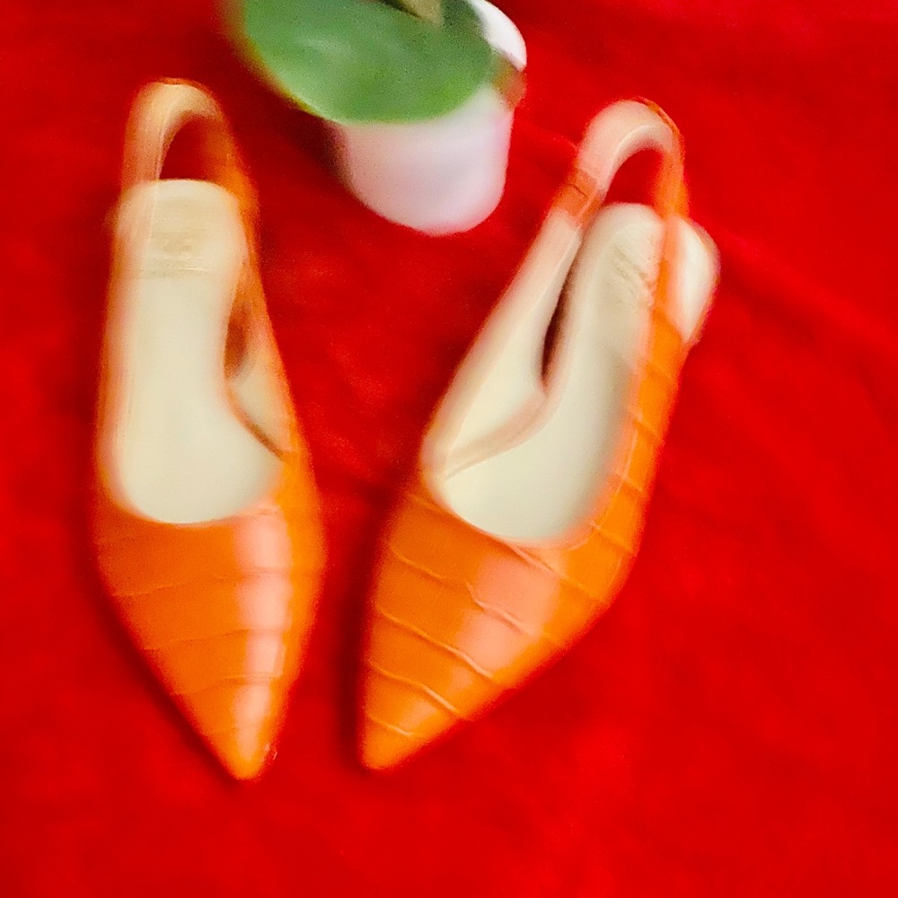 Slingback Shoes